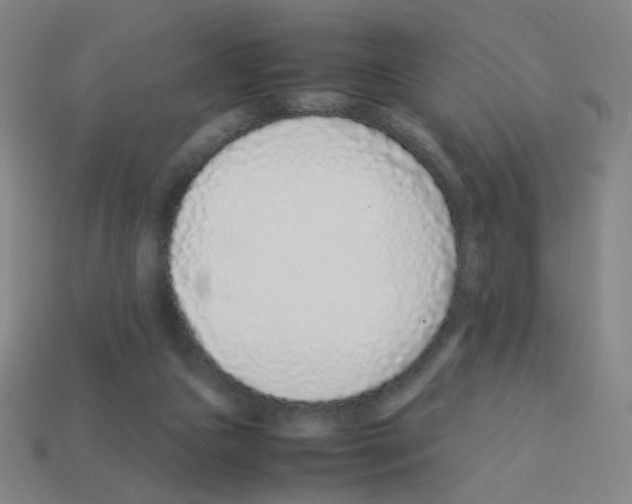 X0000113240161200910221108