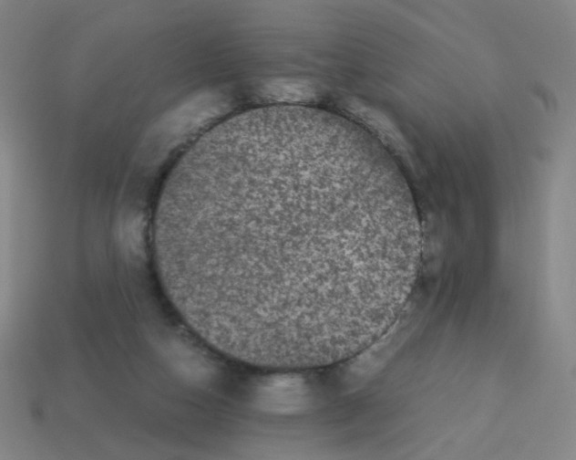 X0000113240162200910221108