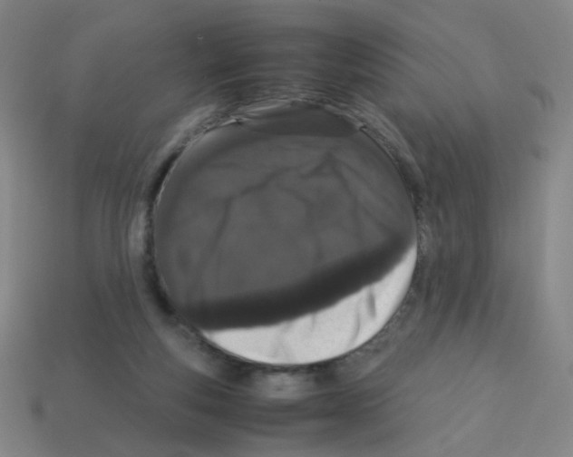 X0000113240163200910221108
