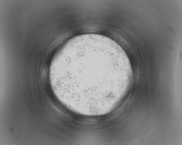 X0000113240166200910221108