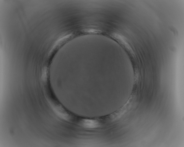 X0000113240167200910221108