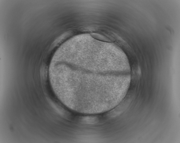 X0000113240168200910221108