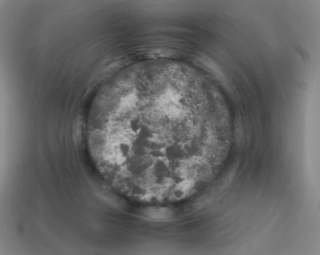 X0000113240169200910221108