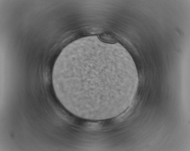 X0000113240170200910221108
