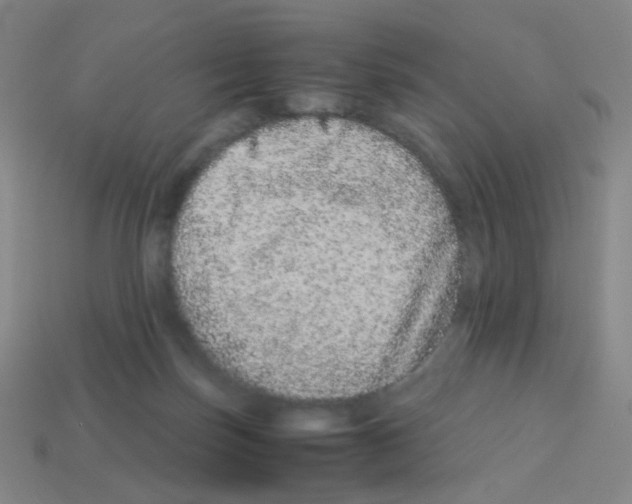 X0000113240171200910221108
