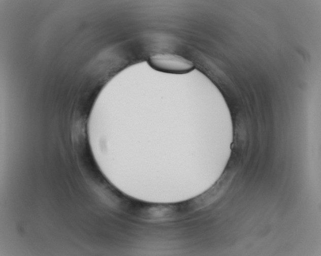 X0000113240172200910221108