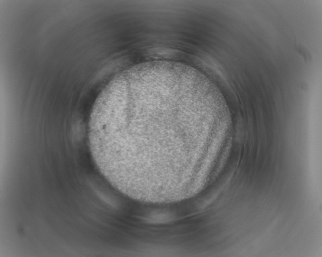 X0000113240173200910221108