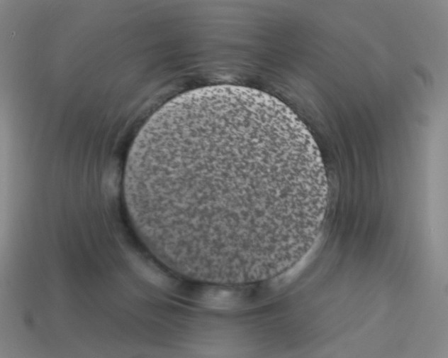 X0000113240174200910221108