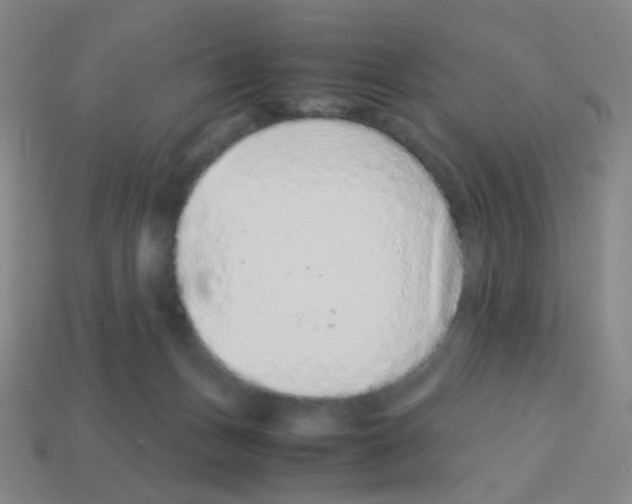 X0000113240175200910221108