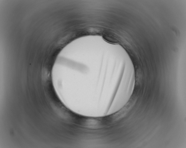 X0000113240176200910221108