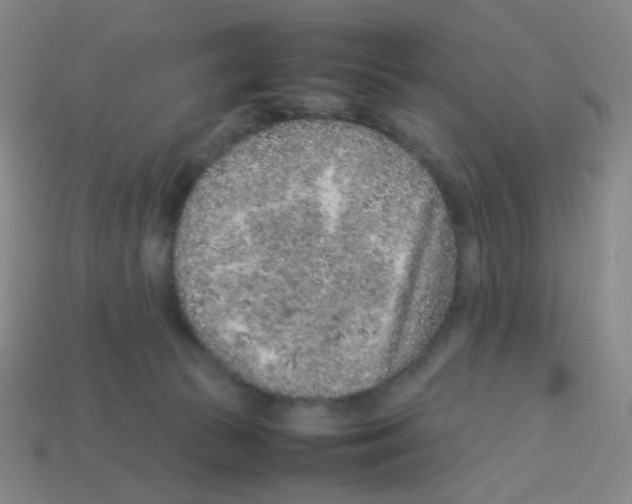 X0000113240177200910221108