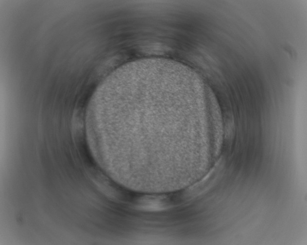 X0000113240179200910221108