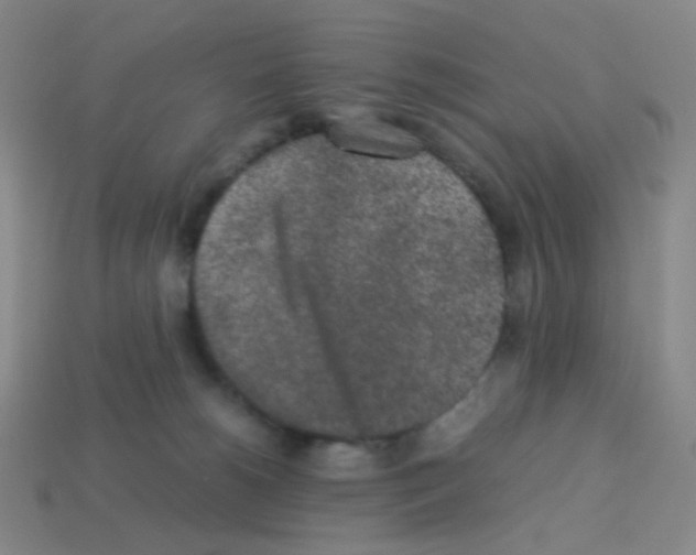 X0000113240180200910221108