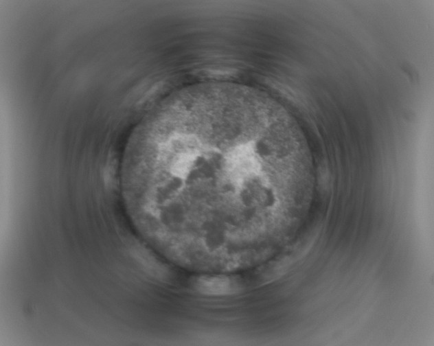 X0000113240181200910221108