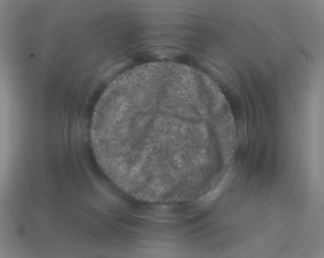 X0000113240182200910221108
