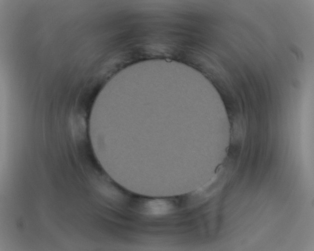 X0000113240183200910221108
