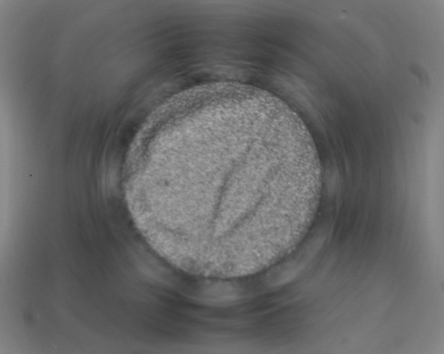 X0000113240185200910221108