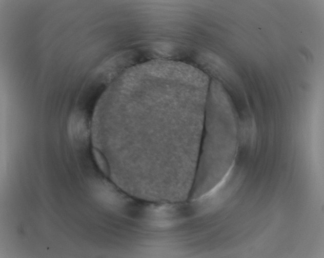 X0000113240186200910221108