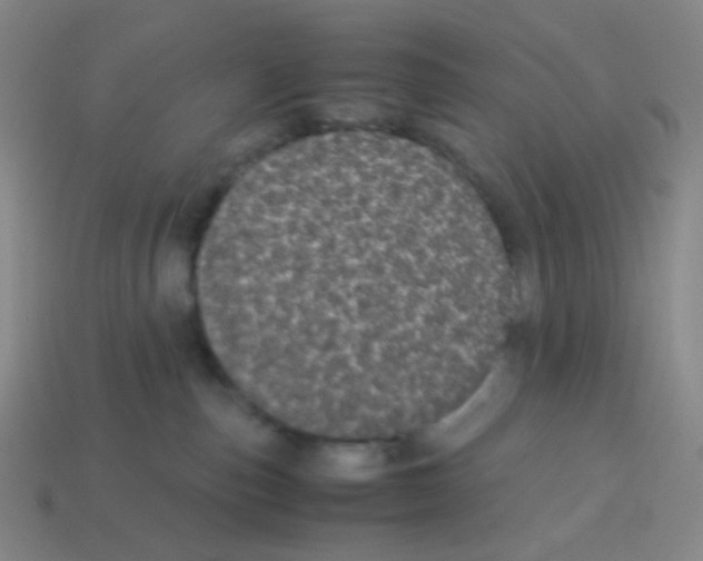 X0000113240187200910221108