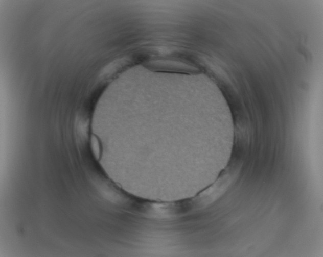 X0000113240188200910221108