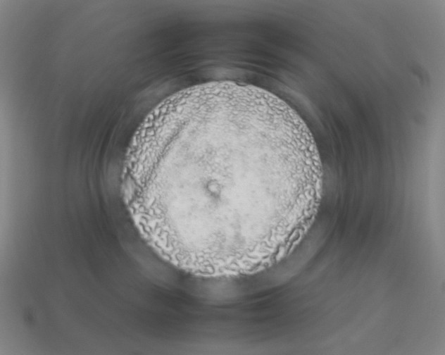 X0000113240189200910221108