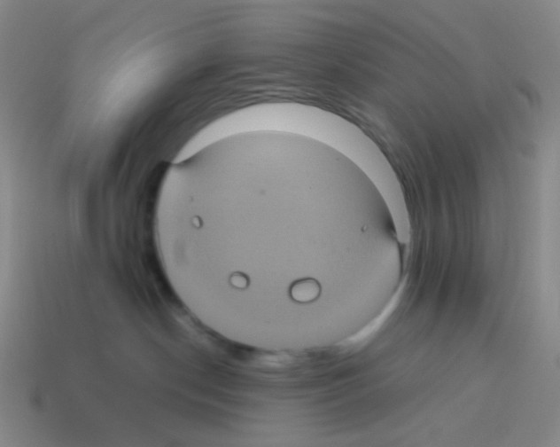 X0000113240190200910221108