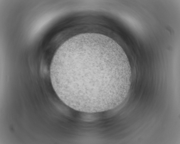 X0000113240191200910221108