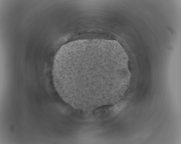 X0000113240192200910221108