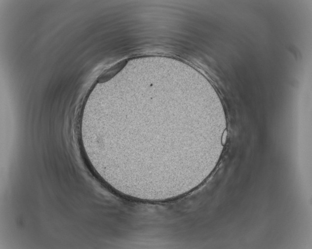 X0000113240193200910221107