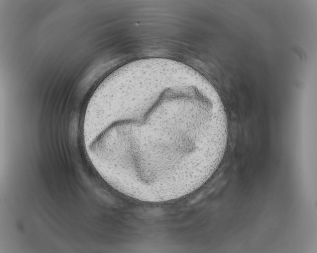 X0000113240194200910221107