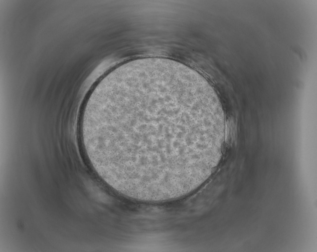X0000113240195200910221107