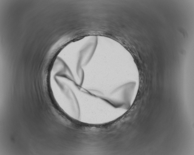 X0000113240197200910221107