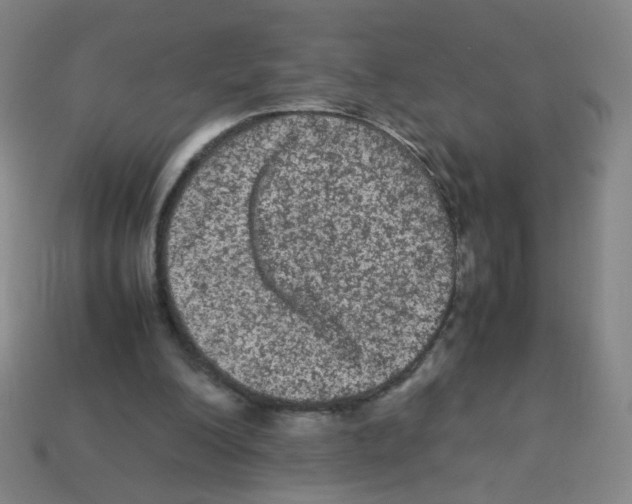 X0000113240200200910221107