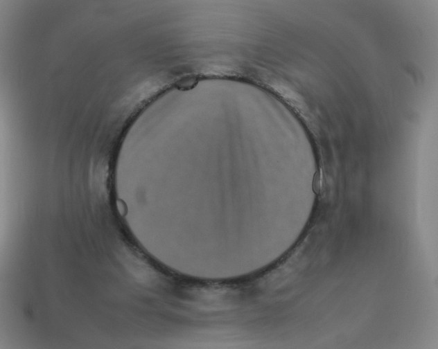 X0000113240201200910221107