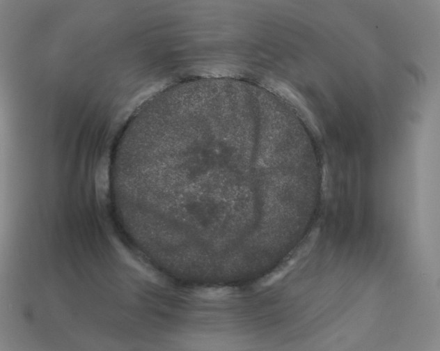 X0000113240202200910221107