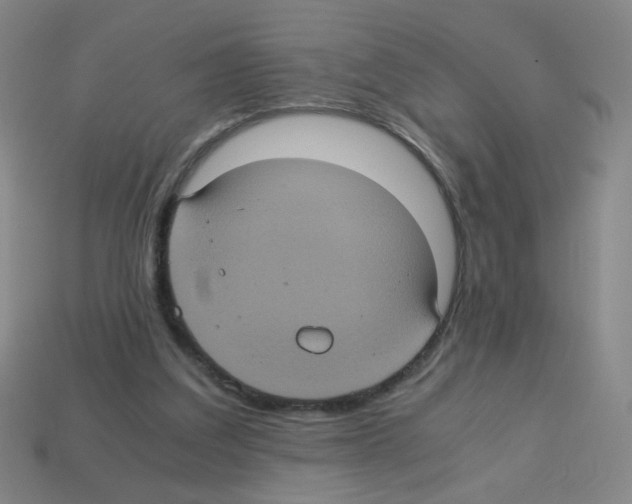 X0000113240203200910221107
