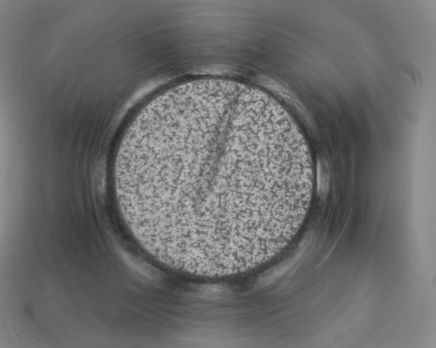 X0000113240204200910221107