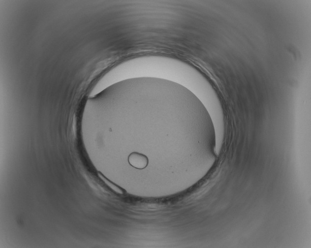 X0000113240205200910221107