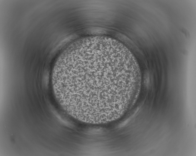 X0000113240206200910221107