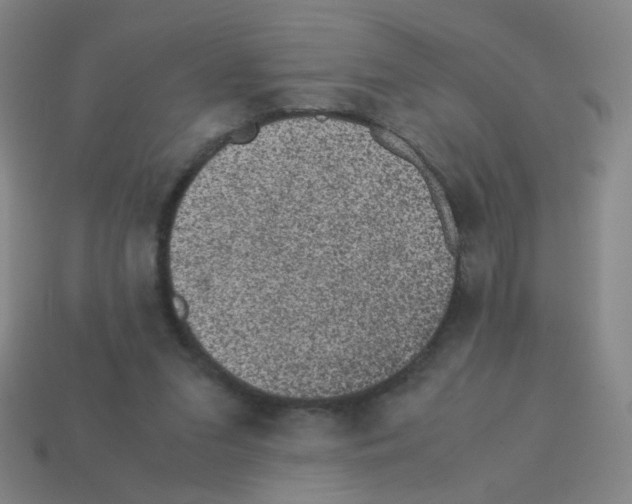 X0000113240207200910221107