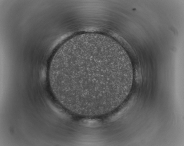 X0000113240208200910221107
