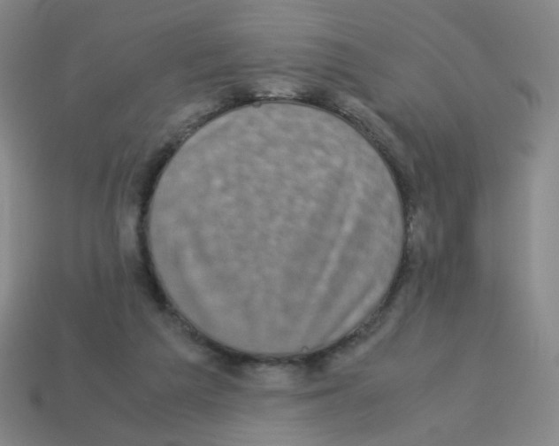 X0000113240209200910221107