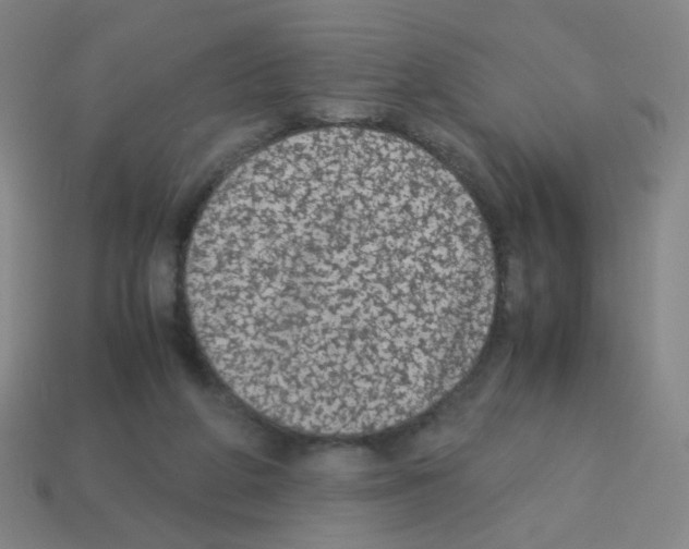 X0000113240210200910221107