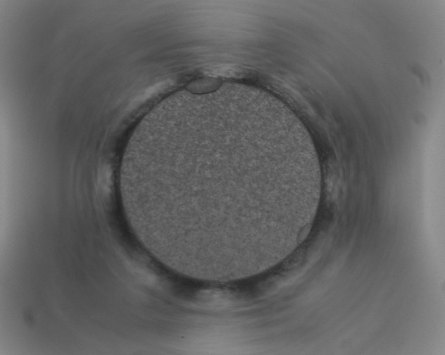 X0000113240211200910221107
