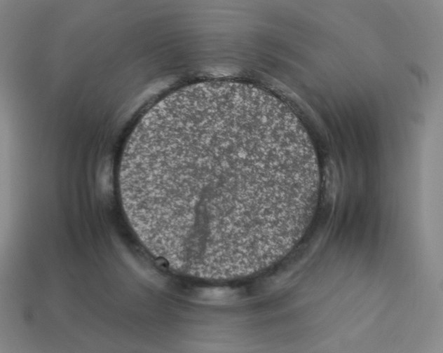 X0000113240212200910221107