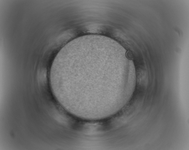X0000113240213200910221107