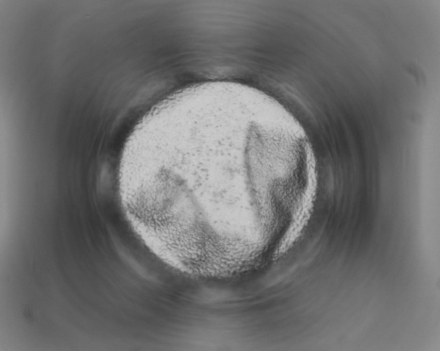 X0000113240214200910221107