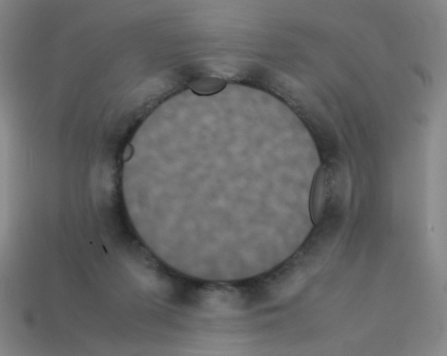 X0000113240215200910221107