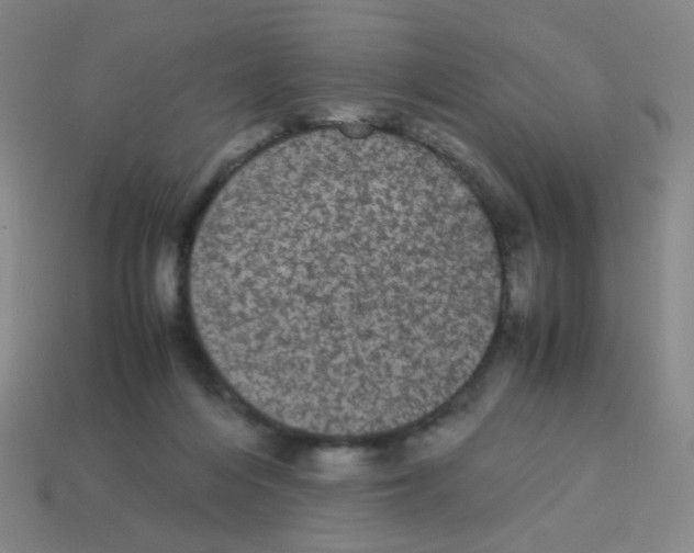X0000113240216200910221107