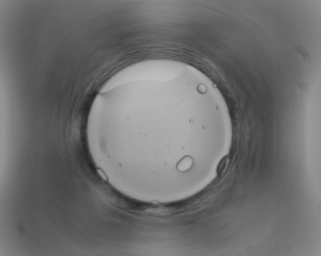 X0000113240217200910221107